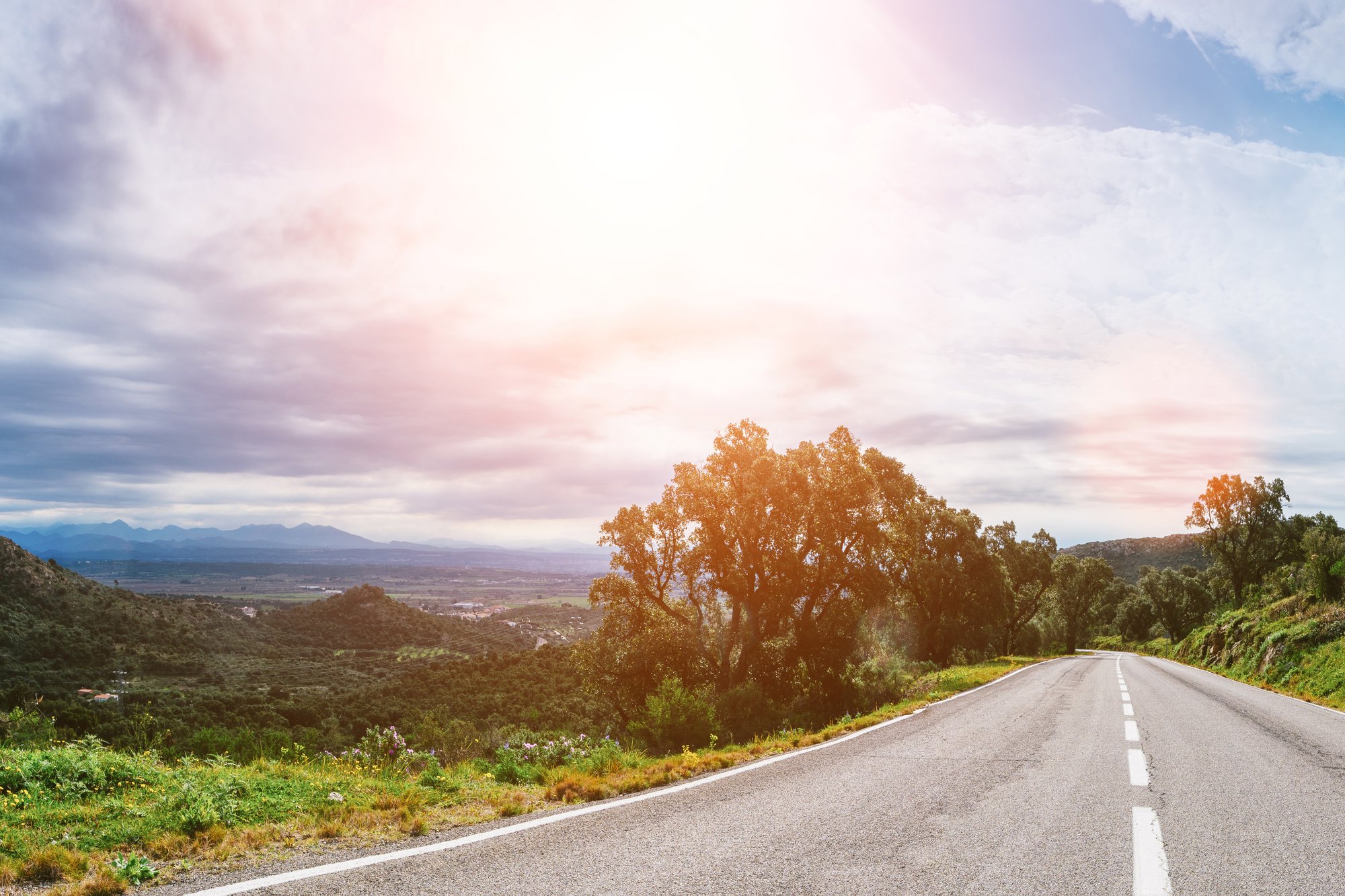 AdobeStock_353505856_web